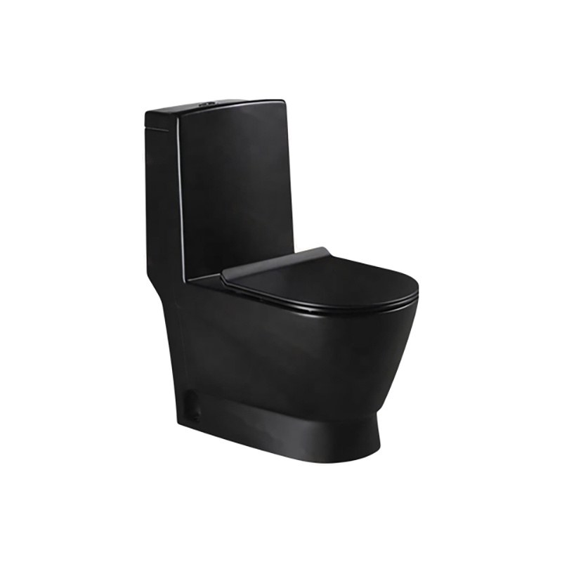 LT-1013-CG-MB black one-piece-toilets