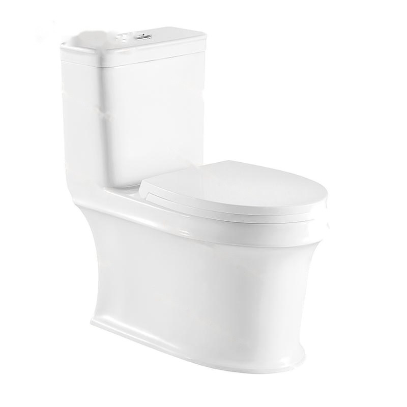 LT-1096 white one-piece-toilets