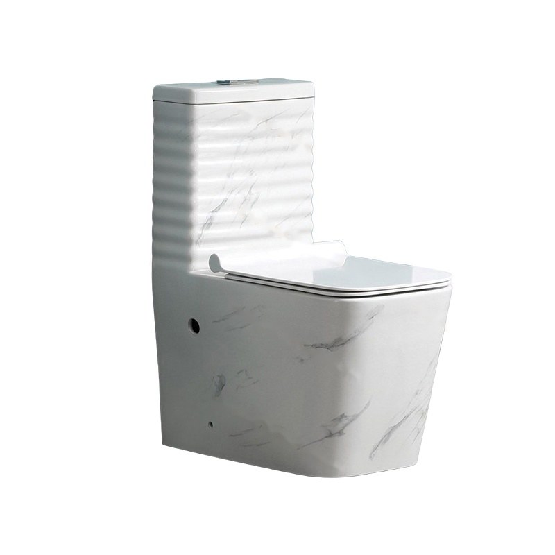 LT-1197-DP-2 grey one-piece-toilets