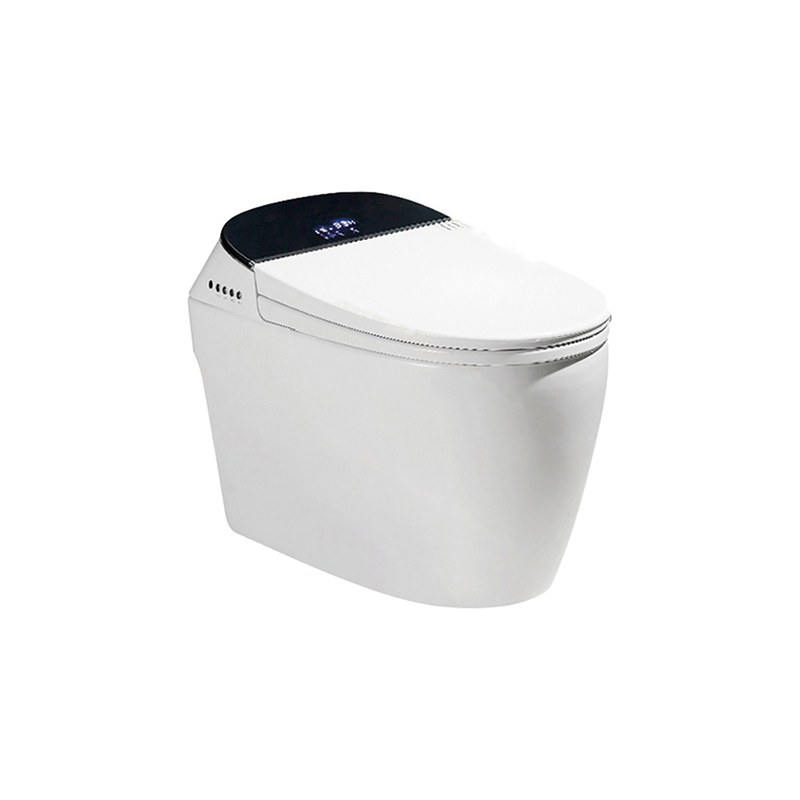 LT-TO-1003-B white smart-toilets
