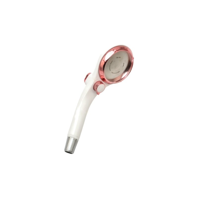 LT-10189-PLA-SP hand shower, hand held shower head