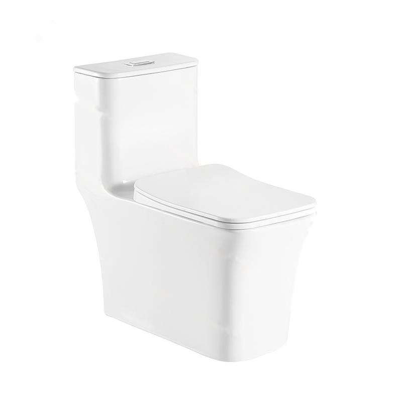 LT-1111 white one-piece-toilets