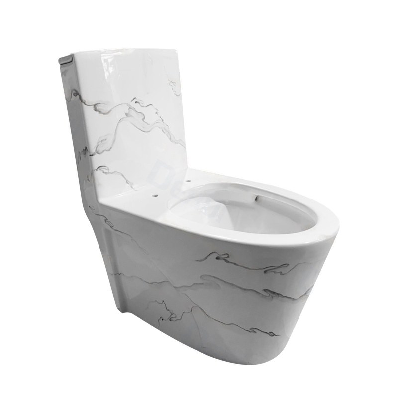 LT-1086-DP-CT4 grey one-piece-toilets
