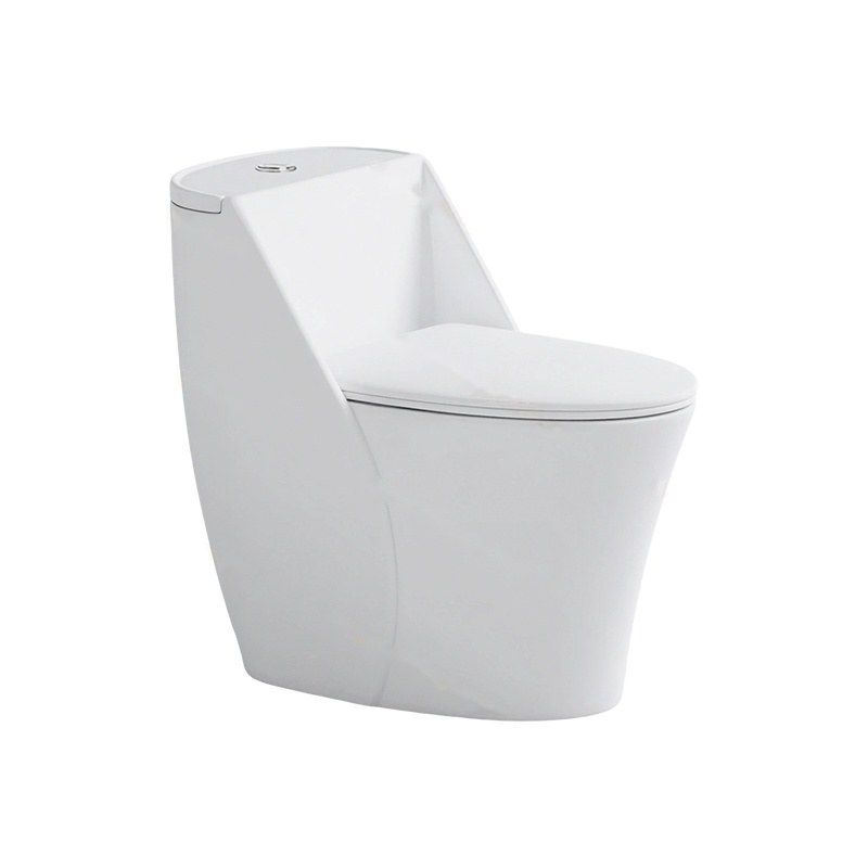 LT-1363 white one-piece-toilets