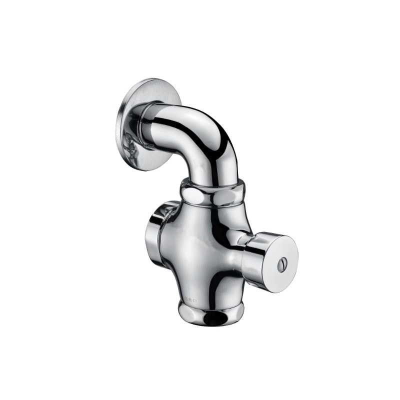 LT-10018-BRA-ASYCF white flush-valves