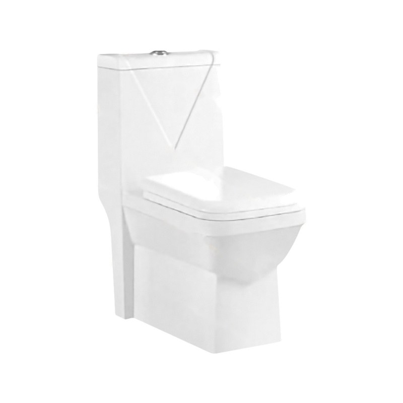 LT-1030 white one-piece-toilets