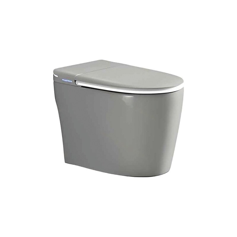LT-TO-1110-WD-GR grey smart-toilets
