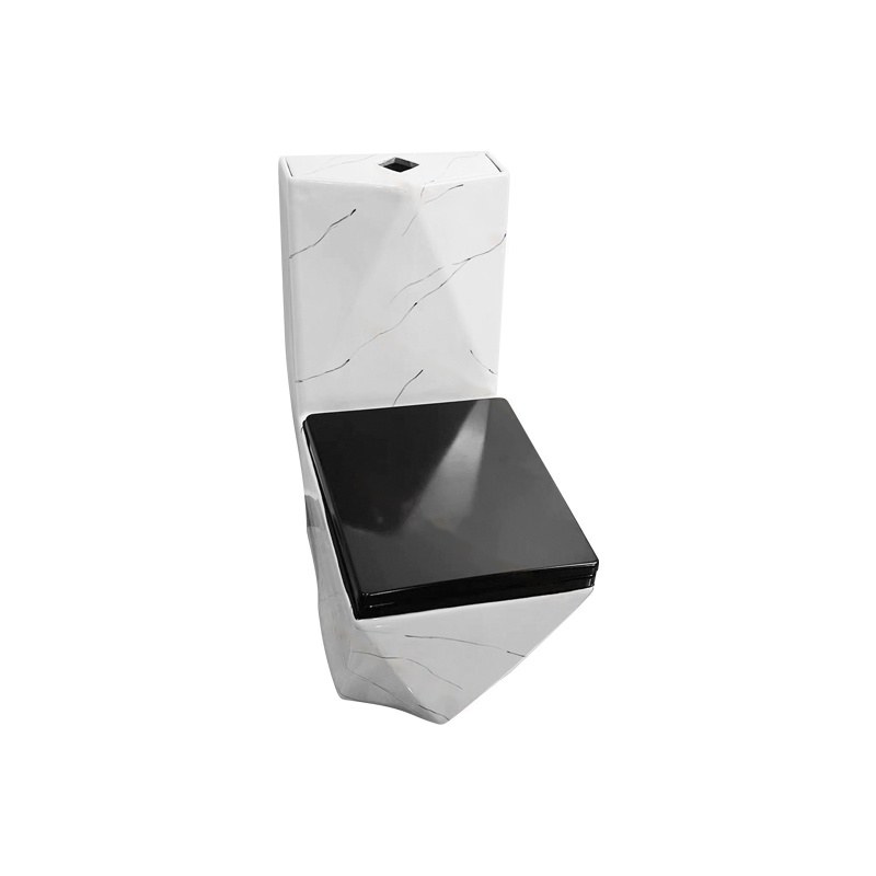 LT-1107-CS-K1 patterned one-piece-toilets
