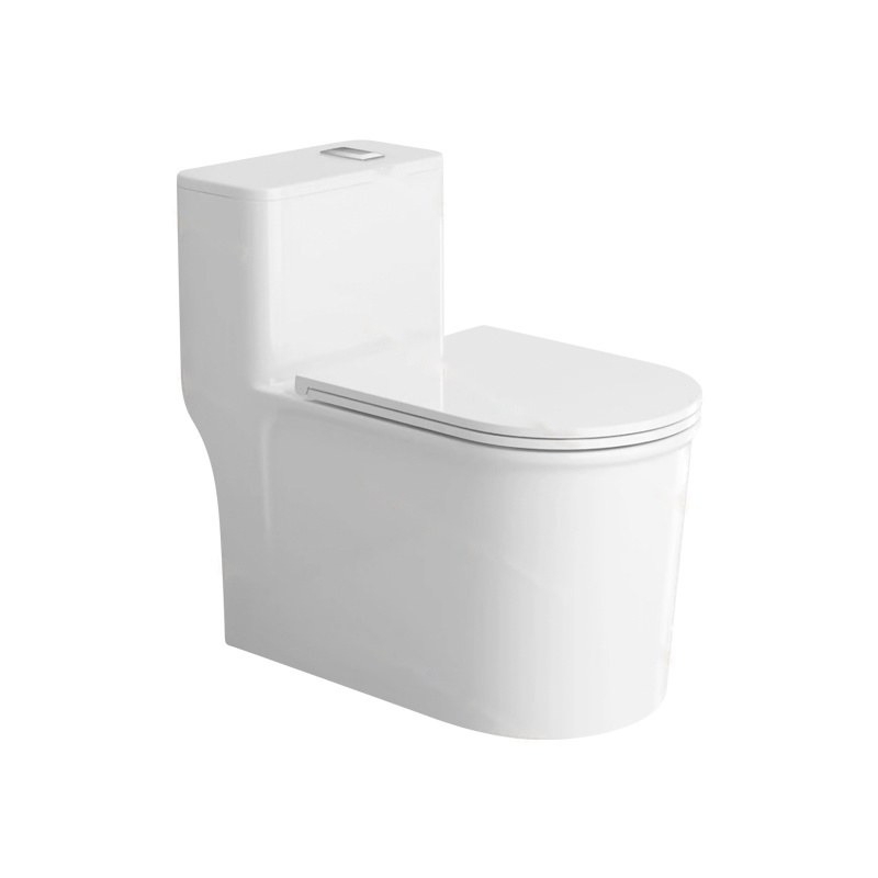 LT-1279 white one-piece-toilets