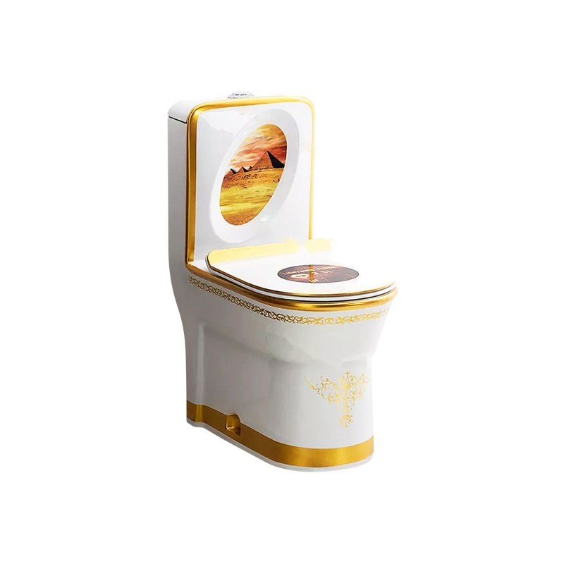 LT-1163-GID-WG2 colored one-piece-toilets