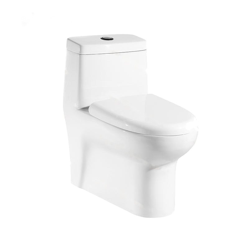 LT-1047 white one-piece-toilets