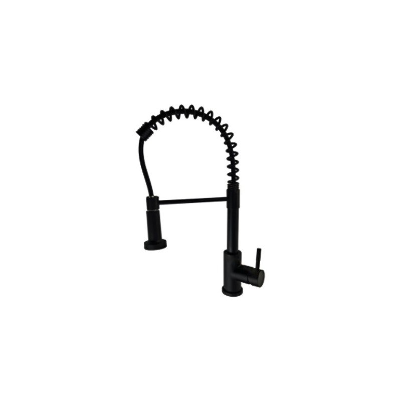 LT-10174-SS-TCCLSSCLRLT kitchen faucet, kitchen mixer tap, sink faucet