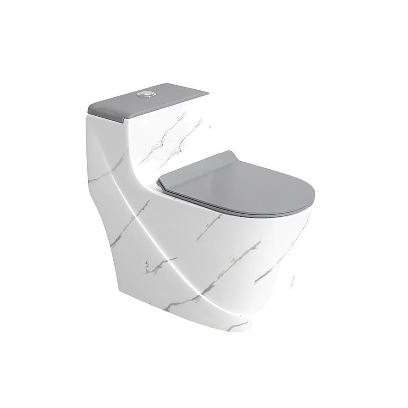 LT-1354-DP-WLG patterned one-piece-toilets