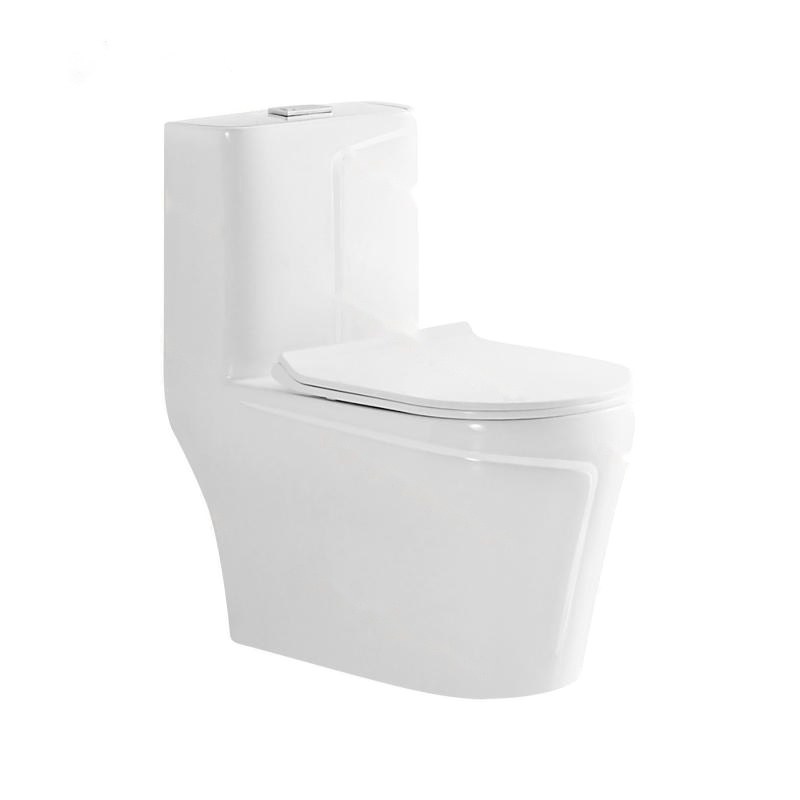 LT-1121 white one-piece-toilets