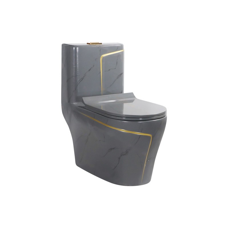 LT-1121-DP-DGGL patterned one-piece-toilets