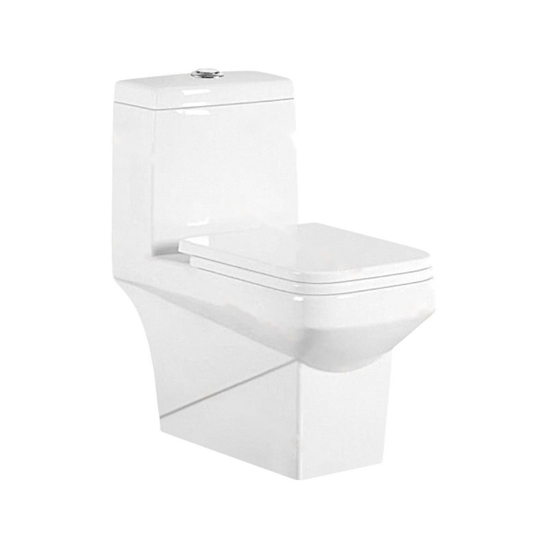 LT-1009 white one-piece-toilets