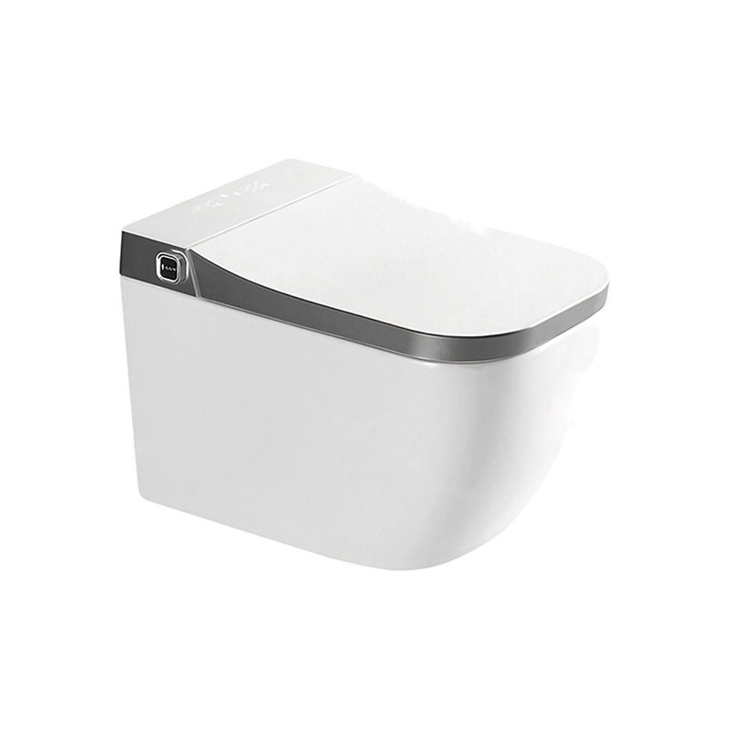 LT-TO-1063-WC-GR white smart-toilets