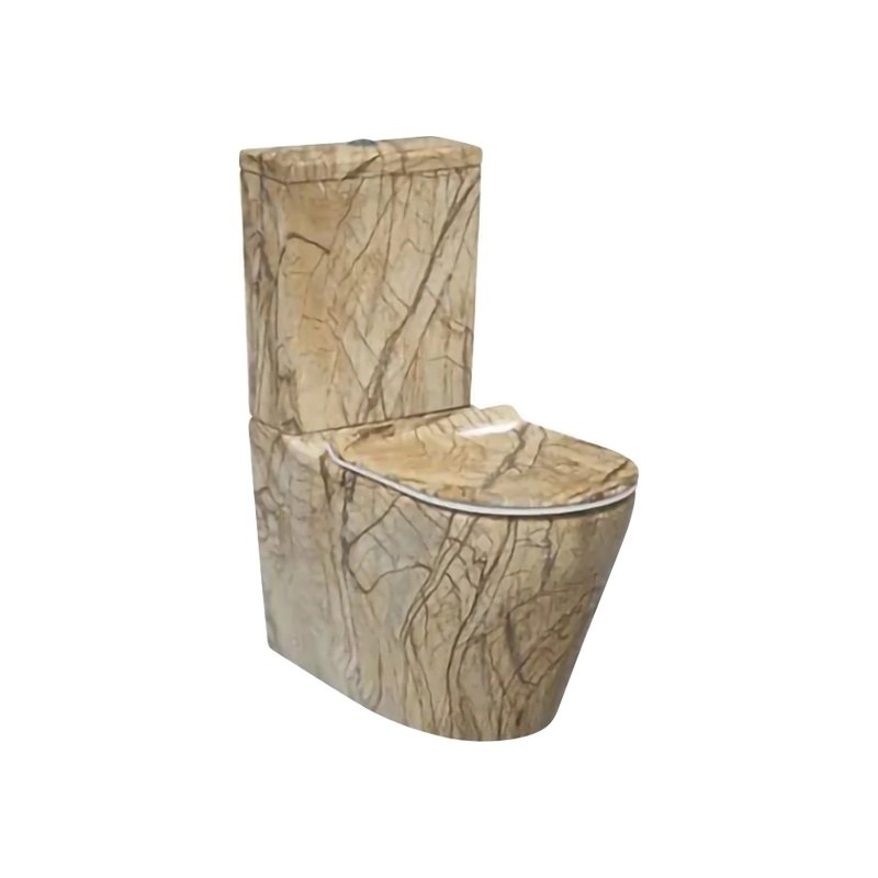 LT-202-DP-CT9 gold two-piece-toilets