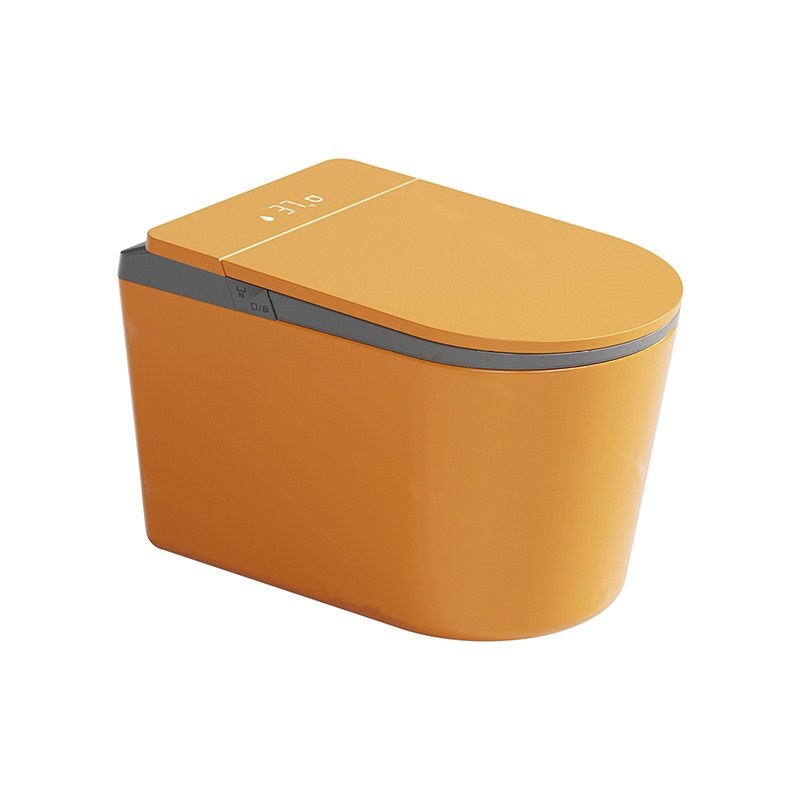LT-TO-1136-WA-WO patterned smart-toilets