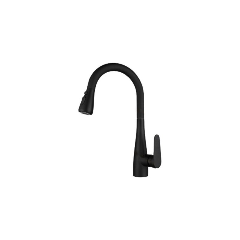 LT-10031-SS-TCCLSSCLRLT kitchen faucet, kitchen mixer tap, sink faucet