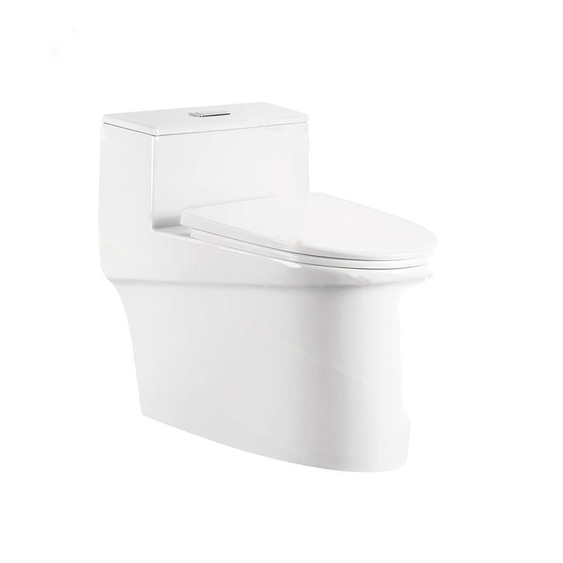 LT-1073 white one-piece-toilets