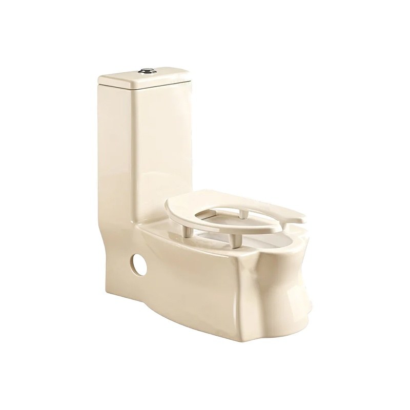 LT-1128-CG-IV gold one-piece-toilets