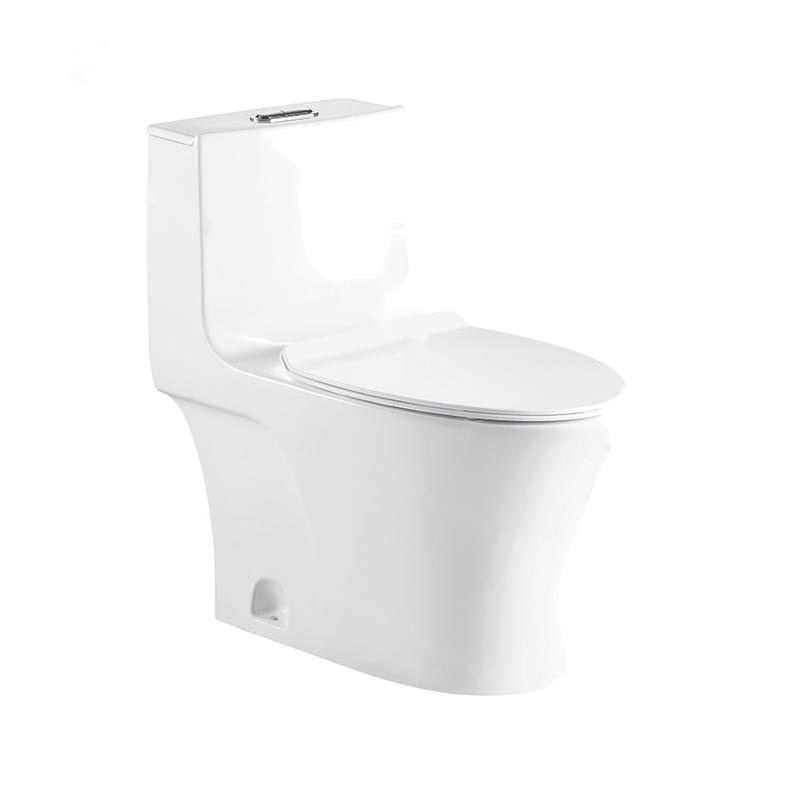 LT-1095 white one-piece-toilets