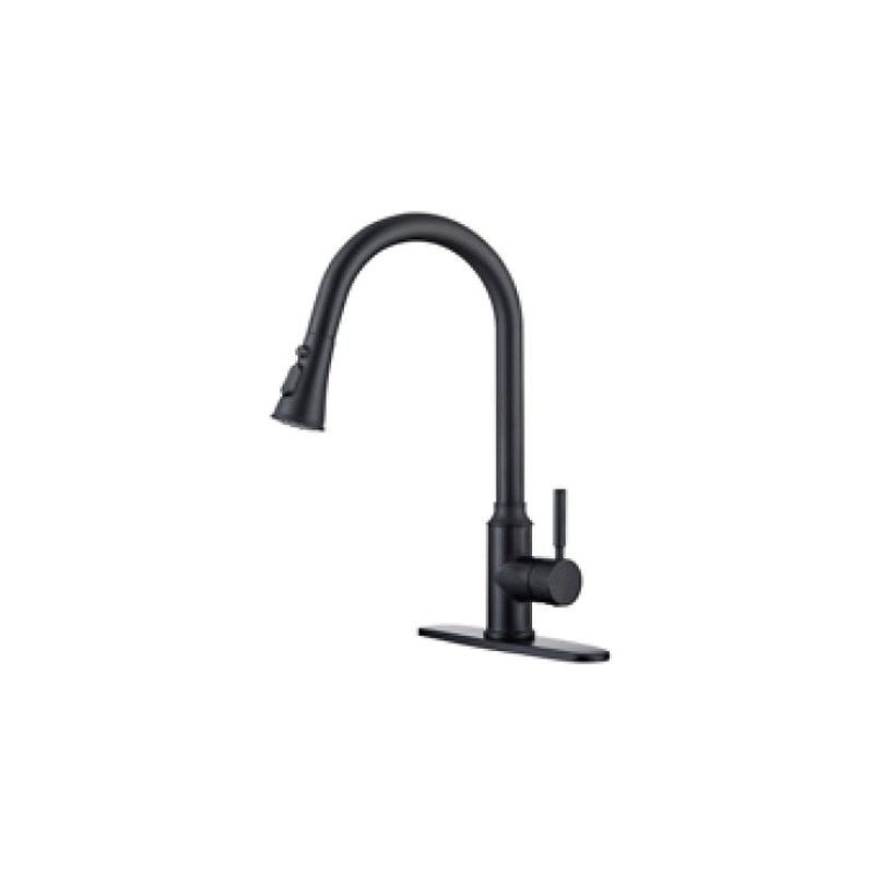 LT-10034-BRA-TCSCLRLT kitchen faucet, kitchen mixer tap, sink faucet