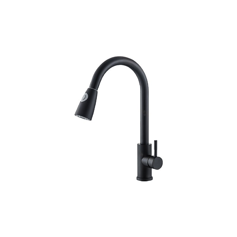 LT-10146-SS-TCCLSSCLRLT kitchen faucet, kitchen mixer tap, sink faucet
