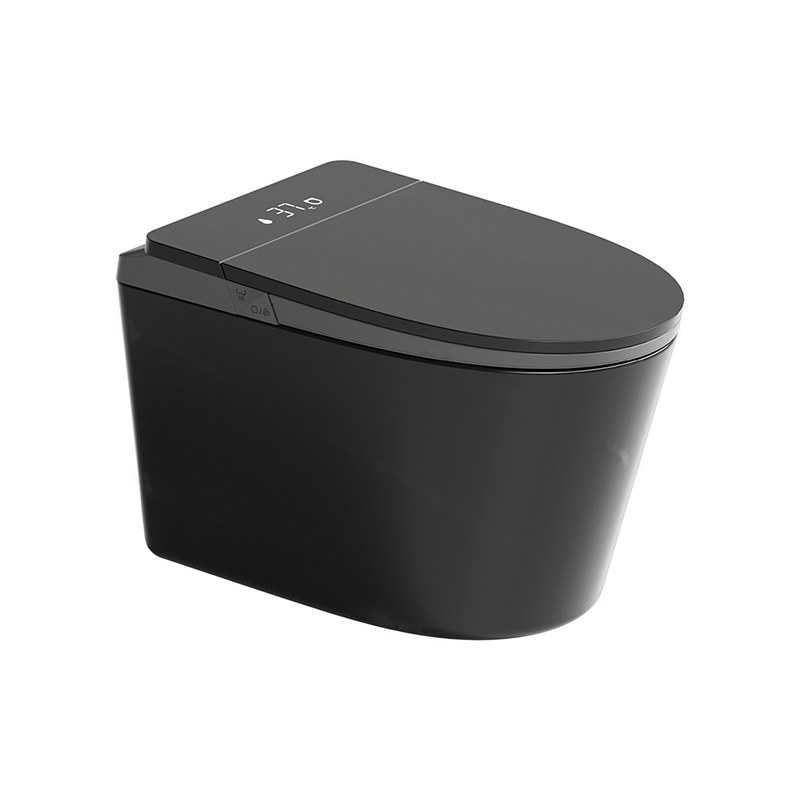 LT-TO-1137-WB-BLG black smart-toilets