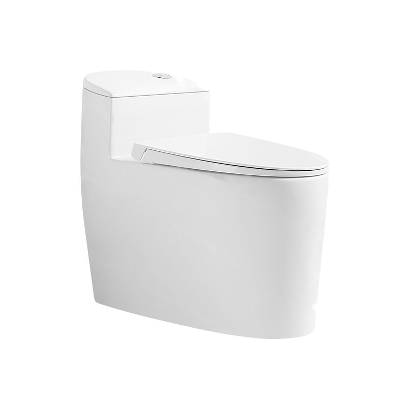 LT-1189 white one-piece-toilets