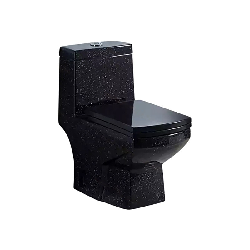 LT-1026-DP-1 black one-piece-toilets