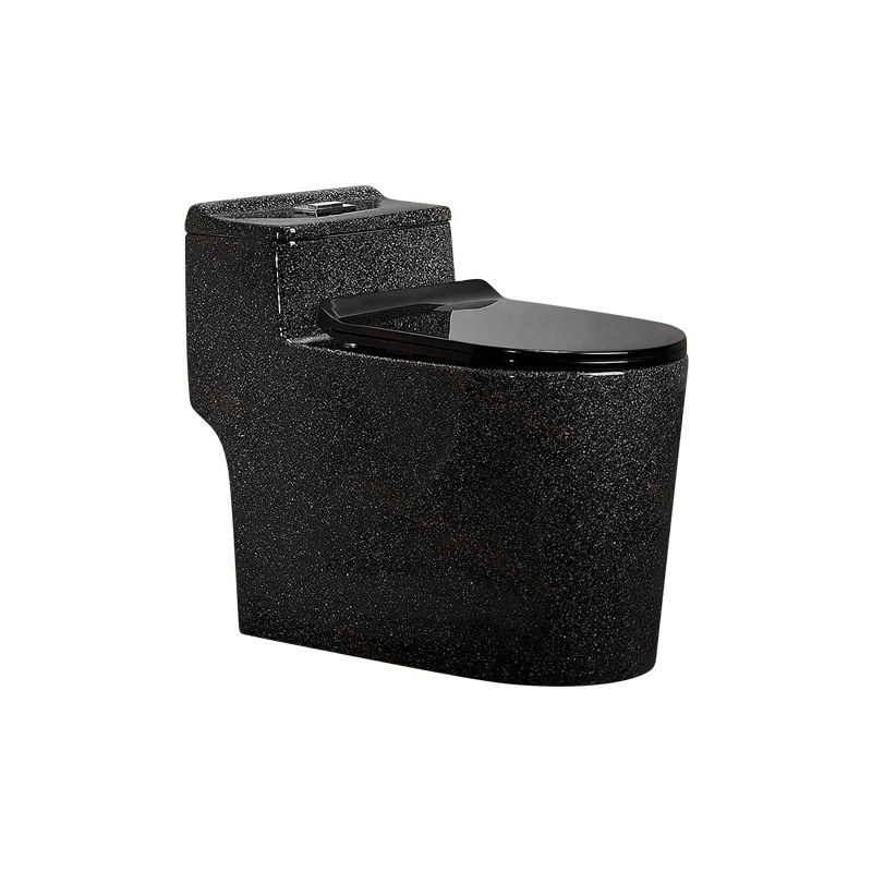 LT-1124-CDG-BL black one-piece-toilets