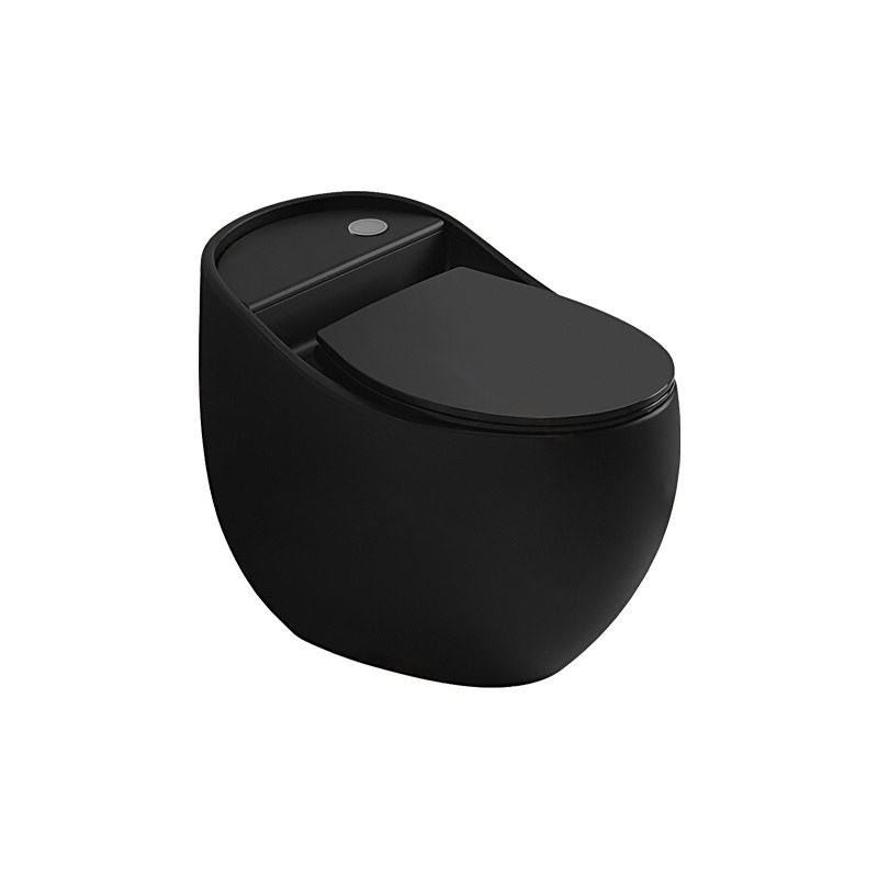 LT-1219-M-BL black one-piece-toilets