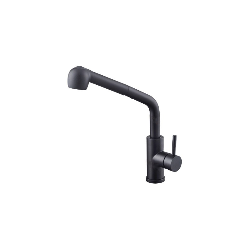 LT-10150-SS-TCCLSSCLRLT kitchen faucet, kitchen mixer tap, sink faucet