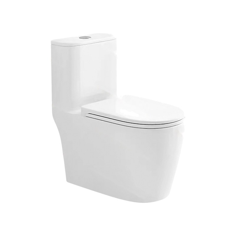 LT-1156 white one-piece-toilets