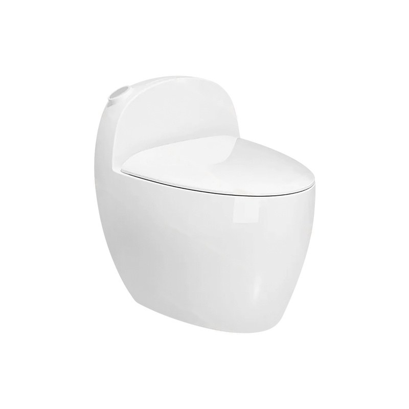 LT-1226 white one-piece-toilets