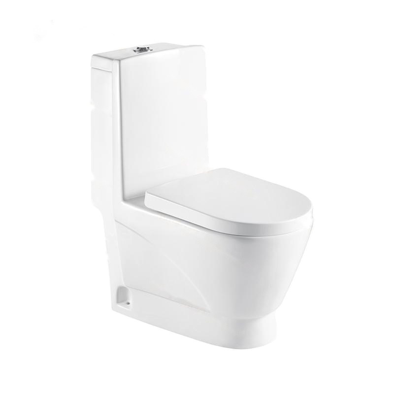 LT-1013 white one-piece-toilets