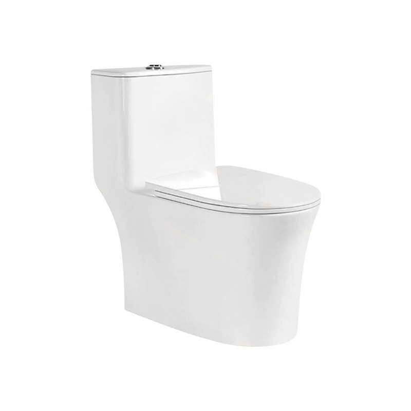 LT-1239 white one-piece-toilets