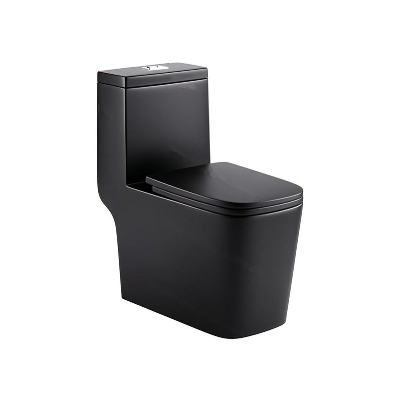 LT-1005B-M-BL black one-piece-toilets