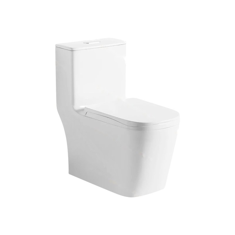 LT-1227 white one-piece-toilets