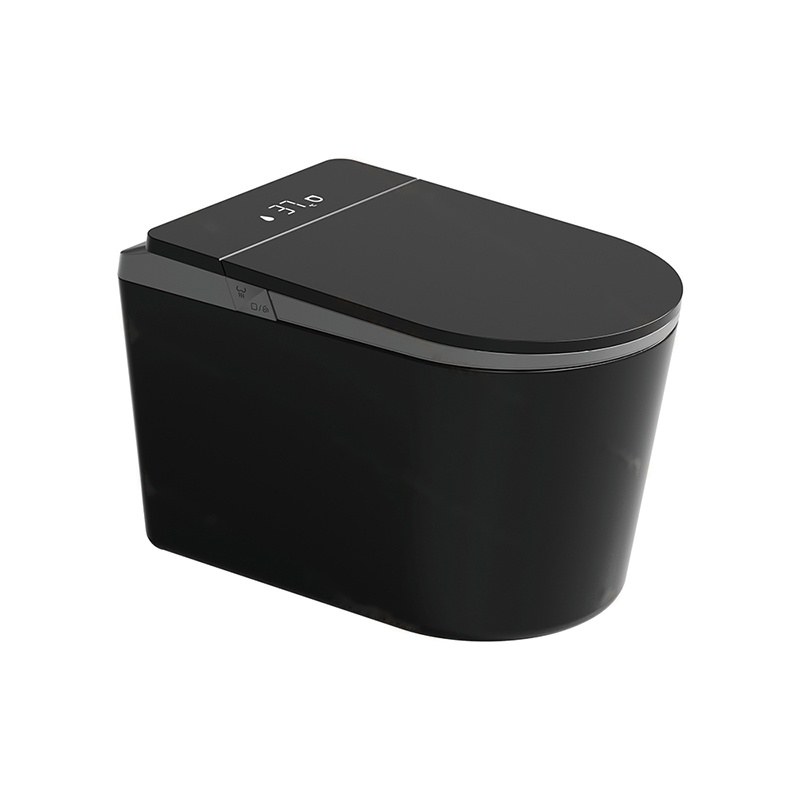 LT-TO-1136-WC-BLG black smart-toilets