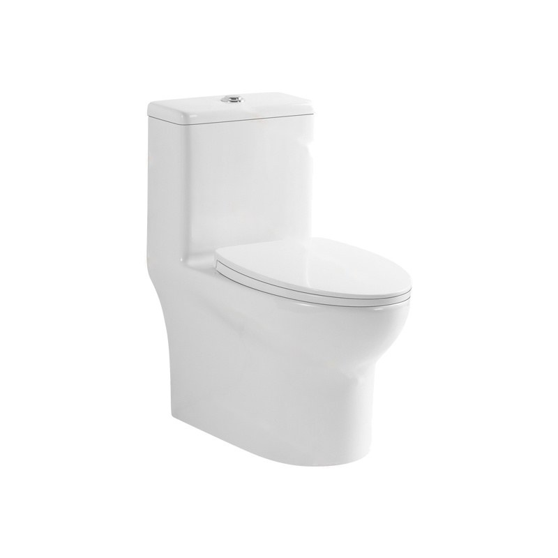 LT-1247 white one-piece-toilets