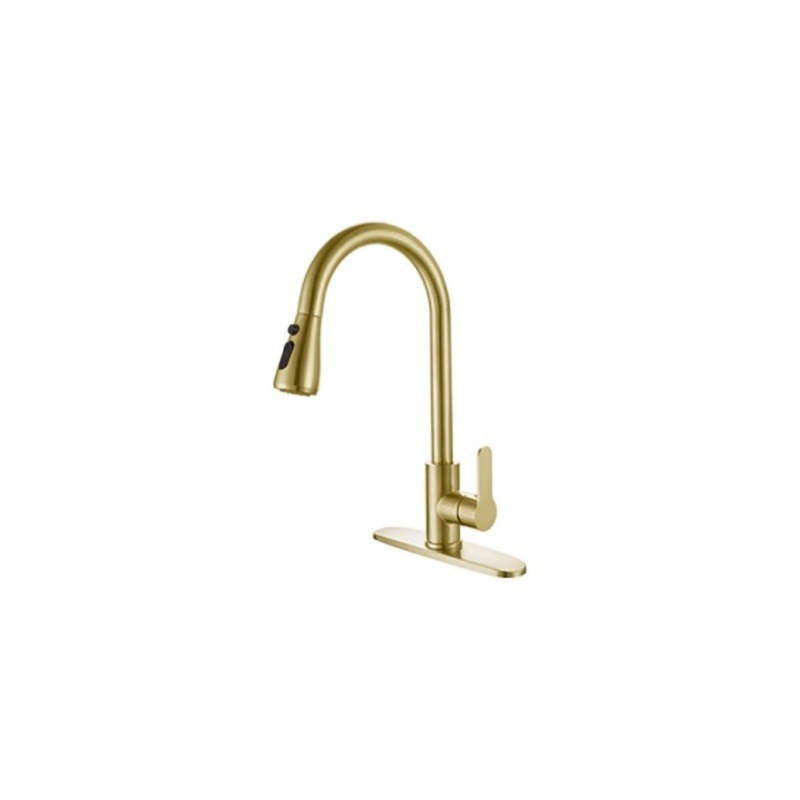 LT-10011-SS-TCCLSSCLRLT kitchen faucet, kitchen mixer tap, sink faucet