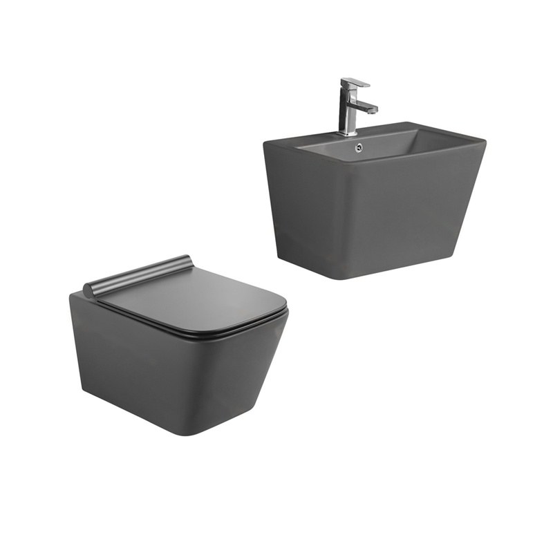 LT-454W-M-DG-----LT-503-M-DG white wall-hung-toilet-suites