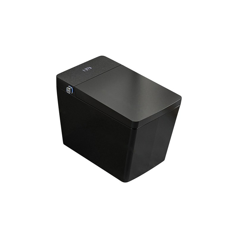 LT-TO-1047-WC-BL black smart-toilets