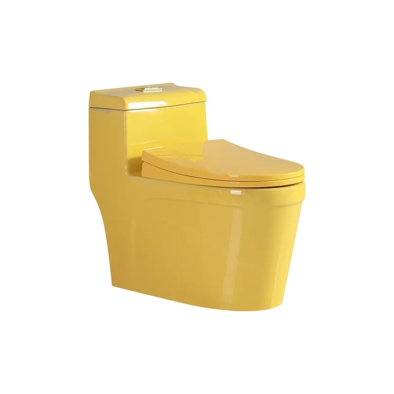 LT-1125-CG-Y gold one-piece-toilets