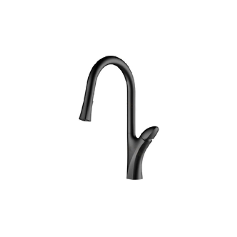 LT-10042-BRA-TCSCLRLT kitchen faucet, kitchen mixer tap, sink faucet