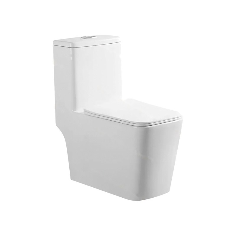 LT-1153 white one-piece-toilets