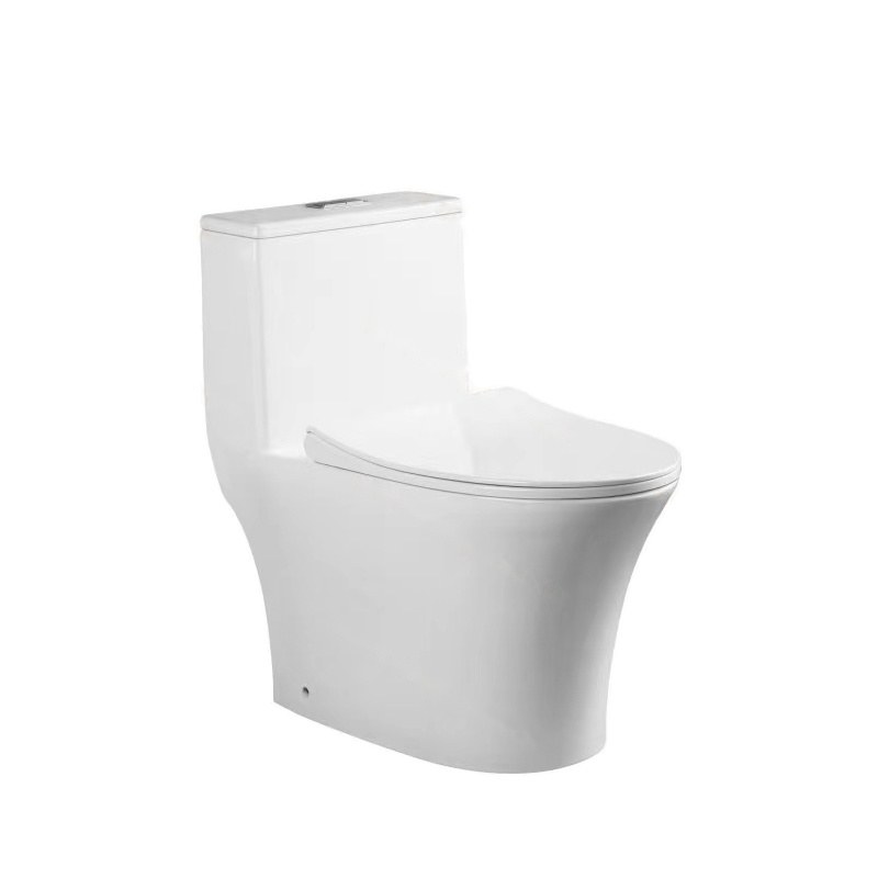 LT-1312 white one-piece-toilets